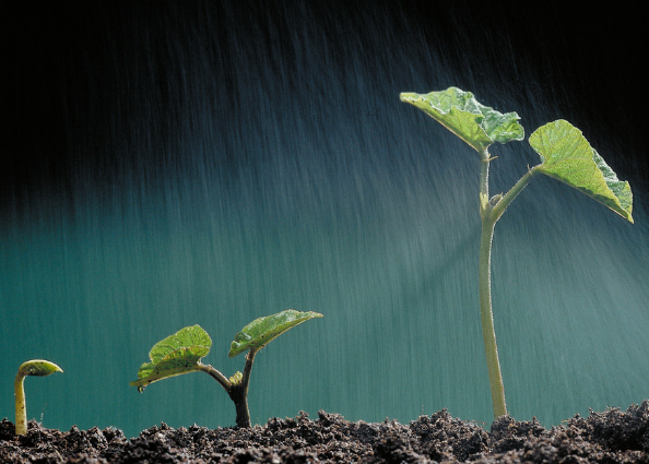 猿輔導(dǎo)公司獲騰訊4000萬美元投資，成K12直播首筆大單